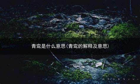 房舍 意思|房舍的解释及意思